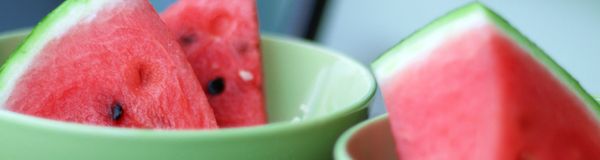 Técnico em Alimentação Escolar