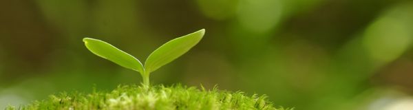 Técnico de Nível Médio em Meio Ambiente